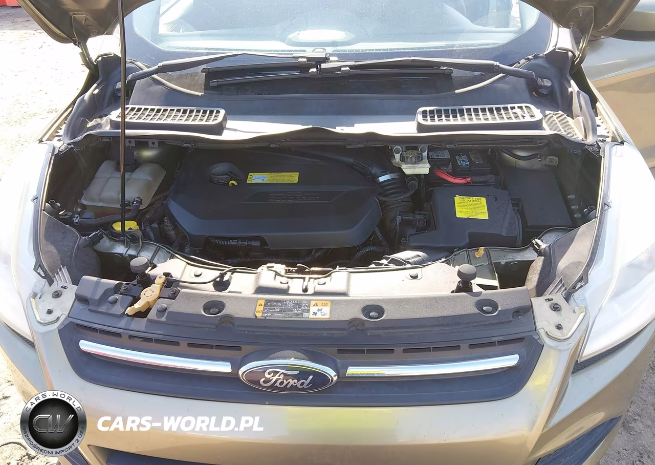 2013 Ford Escape Se VIN:1FMCU0GX9DUA04143 - 10