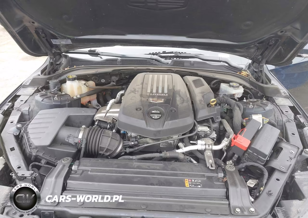 2020 Cadillac Ct4 Premium Luxury VIN:1G6DF5RL9L0127539 - 10