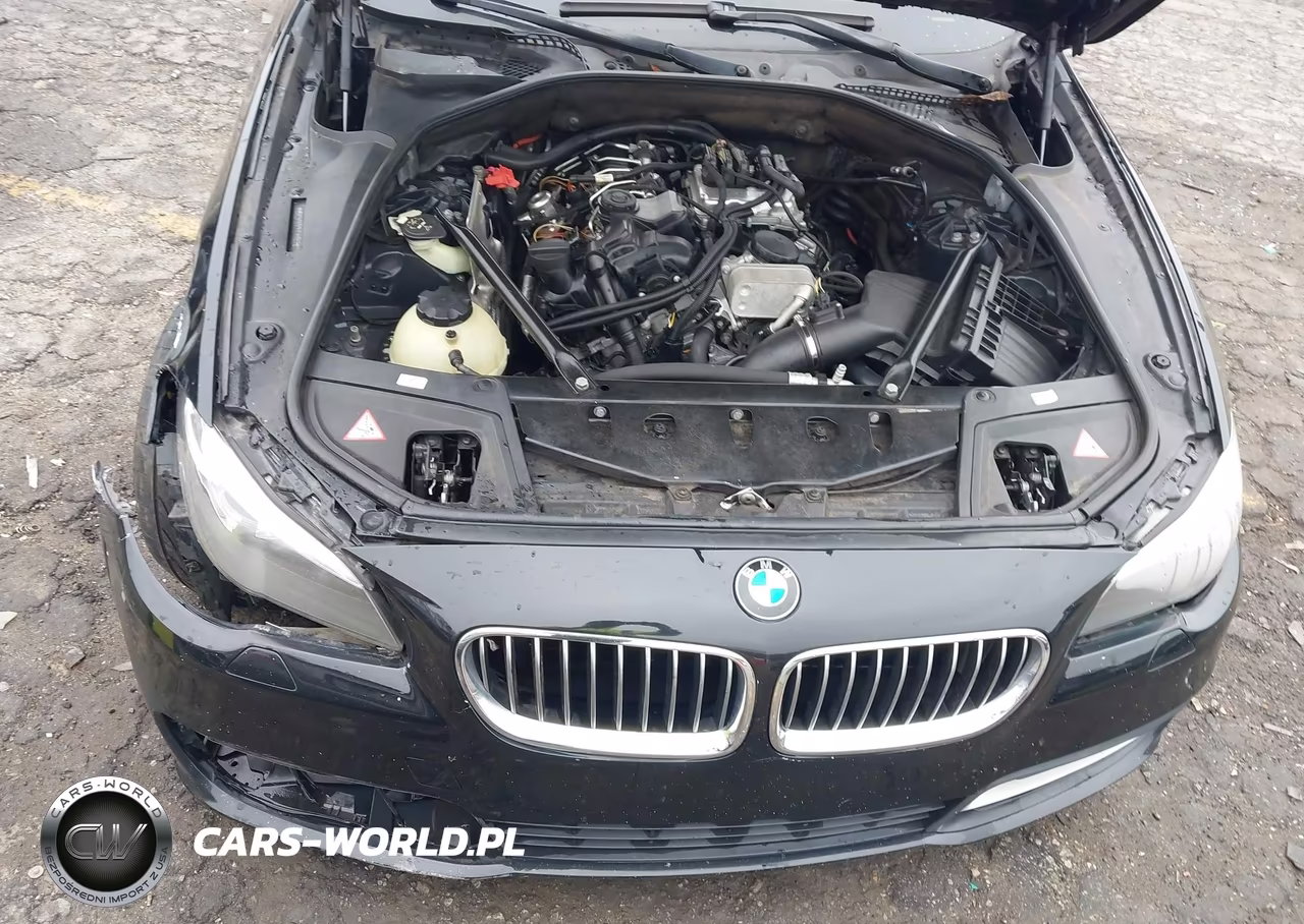 2014 BMW 528I VIN:WBA5A5C57ED501973 - 10