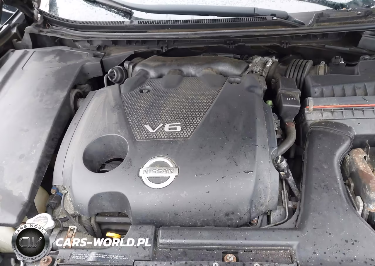 2013 Nissan Maxima 3.5 S VIN:1N4AA5AP2DC834226 - 10
