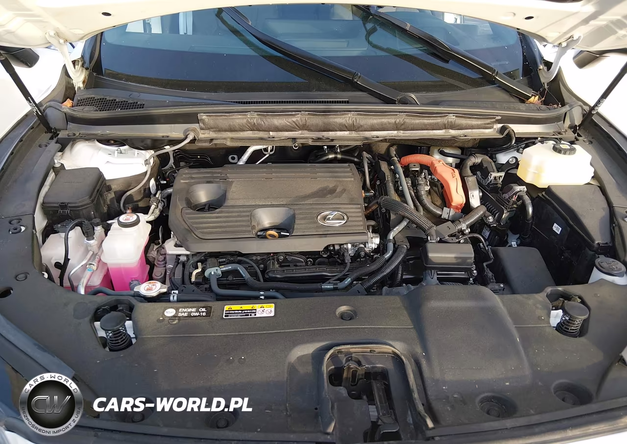 2024 Lexus Rx 350H Luxury VIN:2T2BBMCA5RC043181 - 10