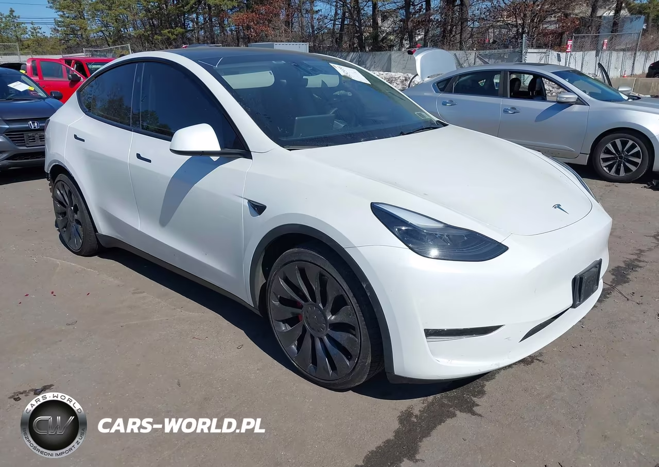 2023 Tesla Model Y Performance Dual Motor All-Wheel Drive