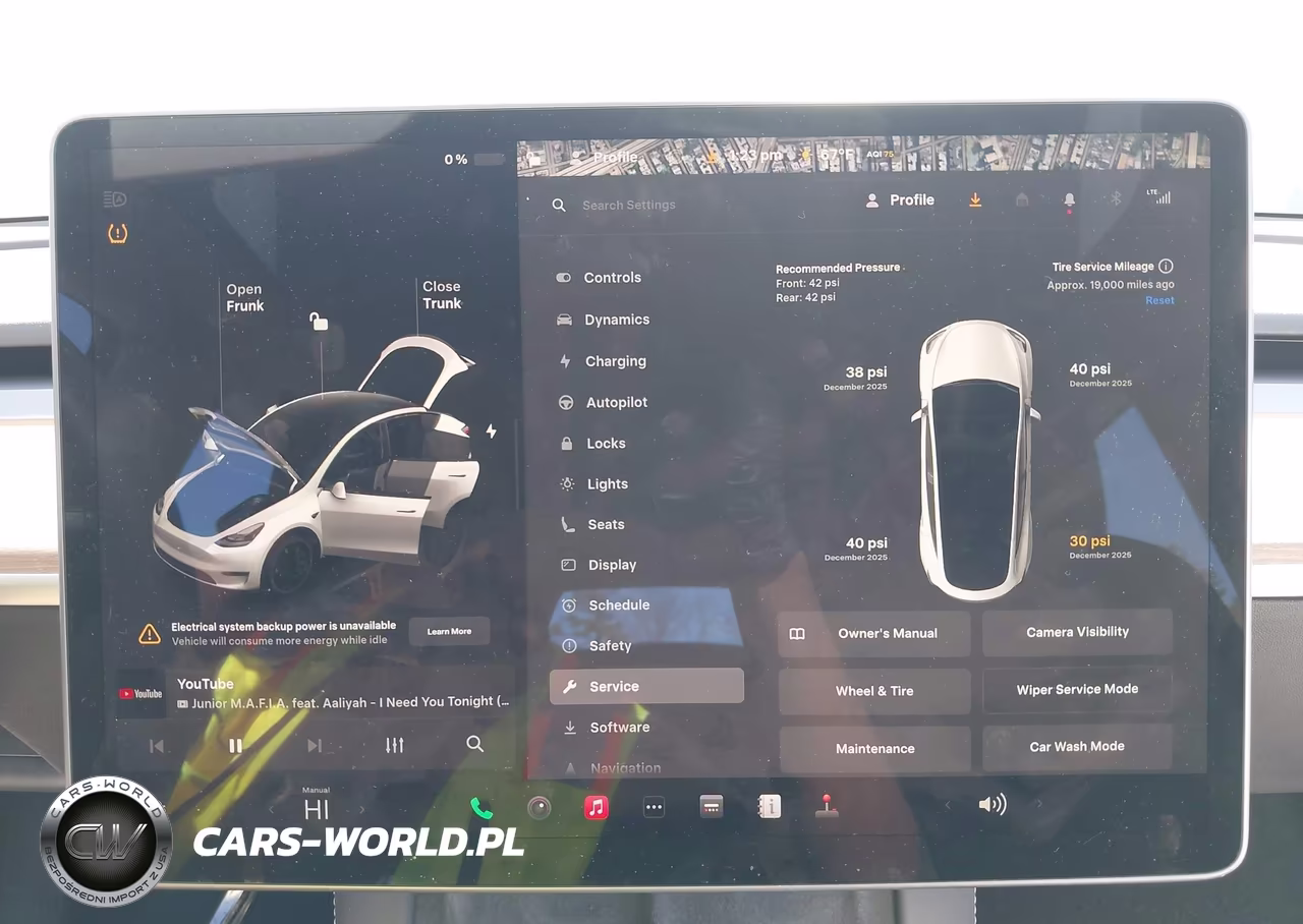 2023 Tesla Model Y Performance Dual Motor All-Wheel Drive VIN:7SAYGDEF2PF777118 - 19
