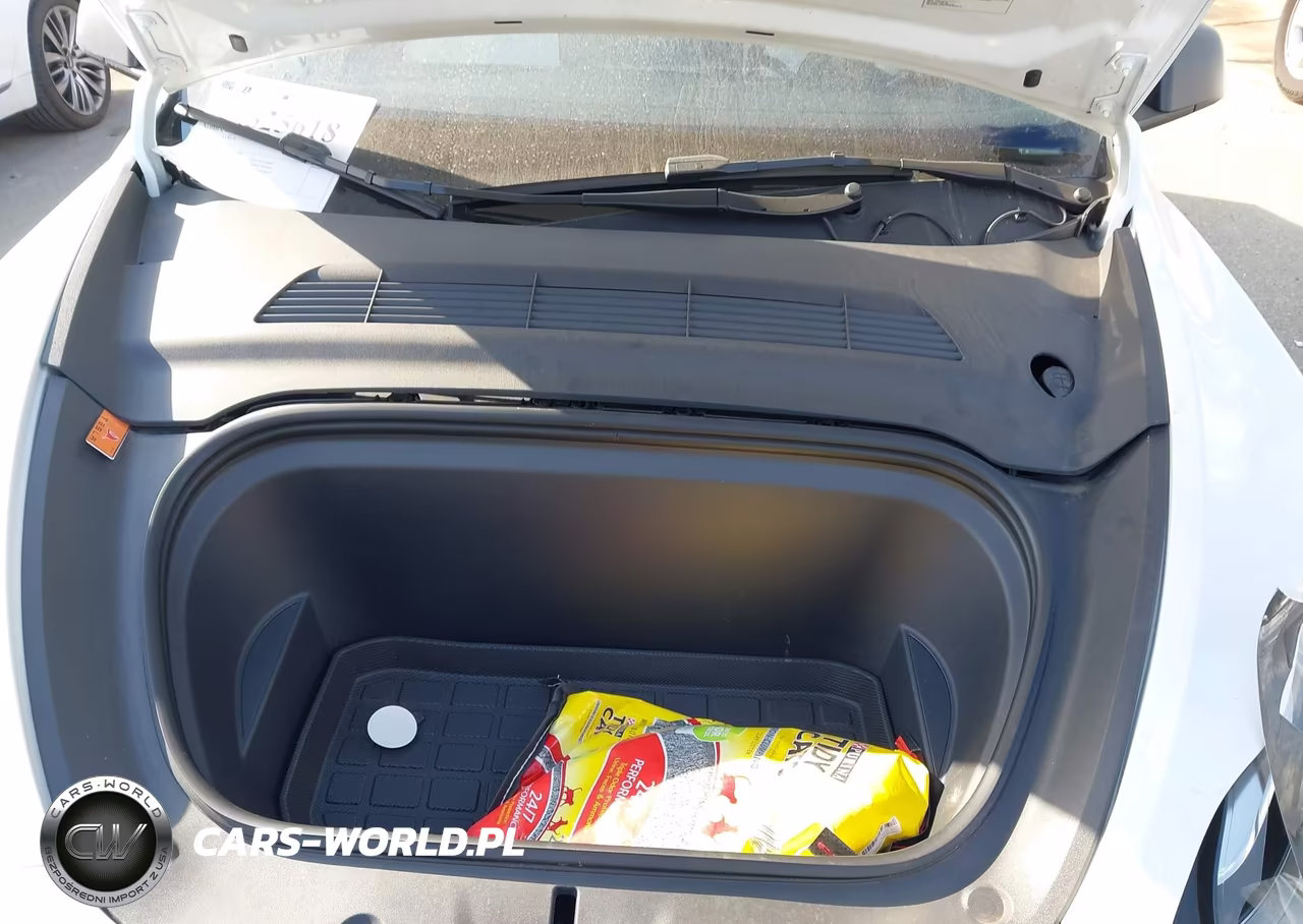 2023 Tesla Model Y VIN:7SAYGDEE5PA145220 - 10