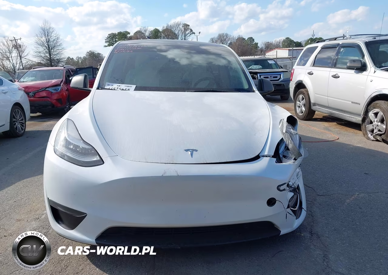 2023 Tesla Model Y VIN:7SAYGDEE5PA145220 - 11