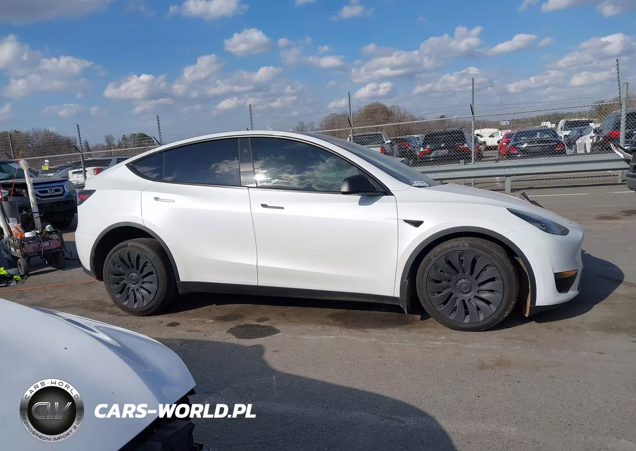 2023 Tesla Model Y VIN:7SAYGDEE5PA145220 - 12