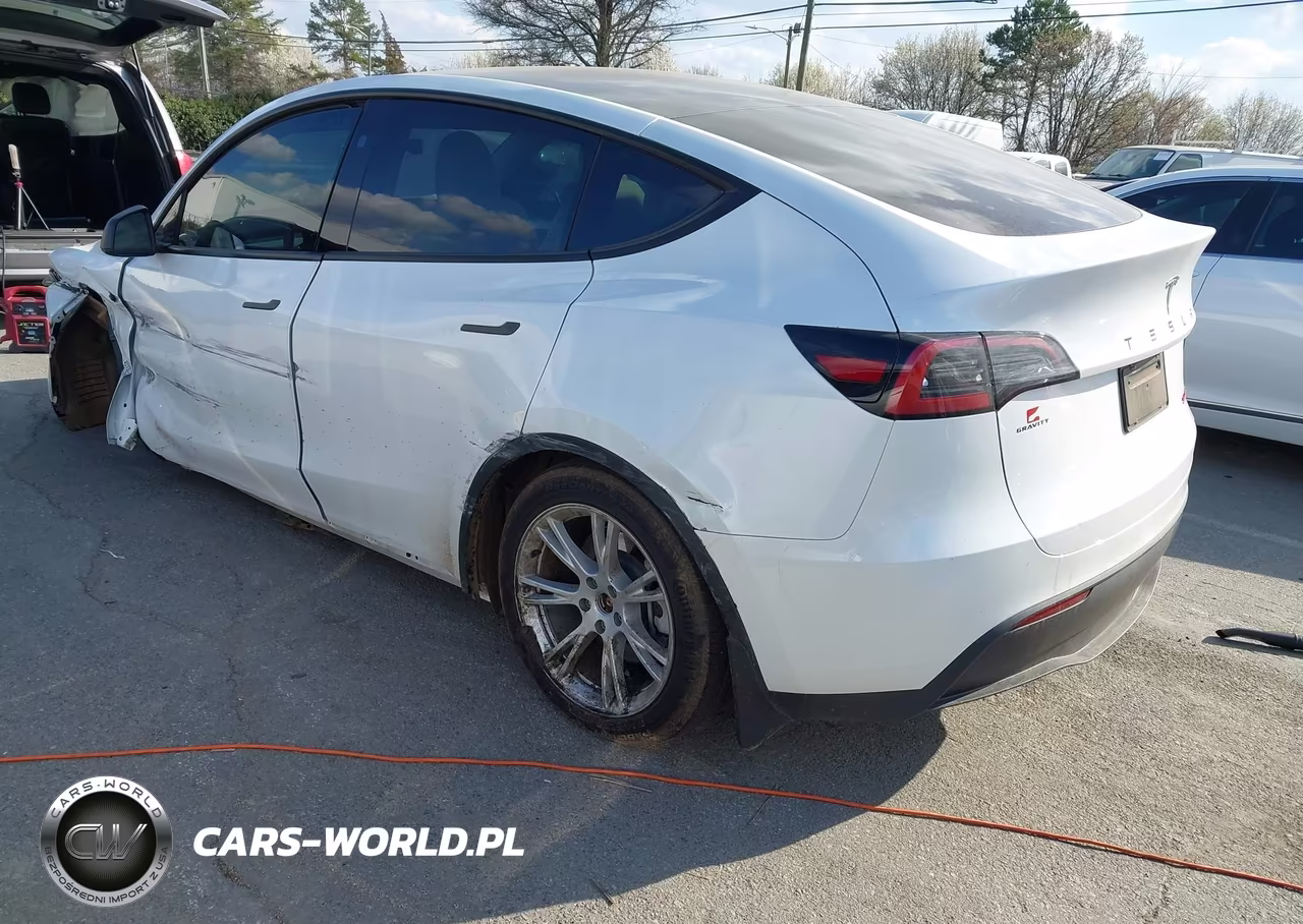 2023 Tesla Model Y VIN:7SAYGDEE5PA145220 - 3