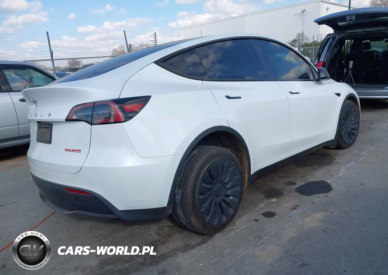 2023 Tesla Model Y VIN:7SAYGDEE5PA145220 - 4
