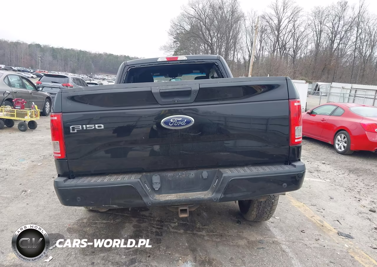 2016 Ford F-150 Xlt VIN:1FTEX1CP9GKF79424 - 16
