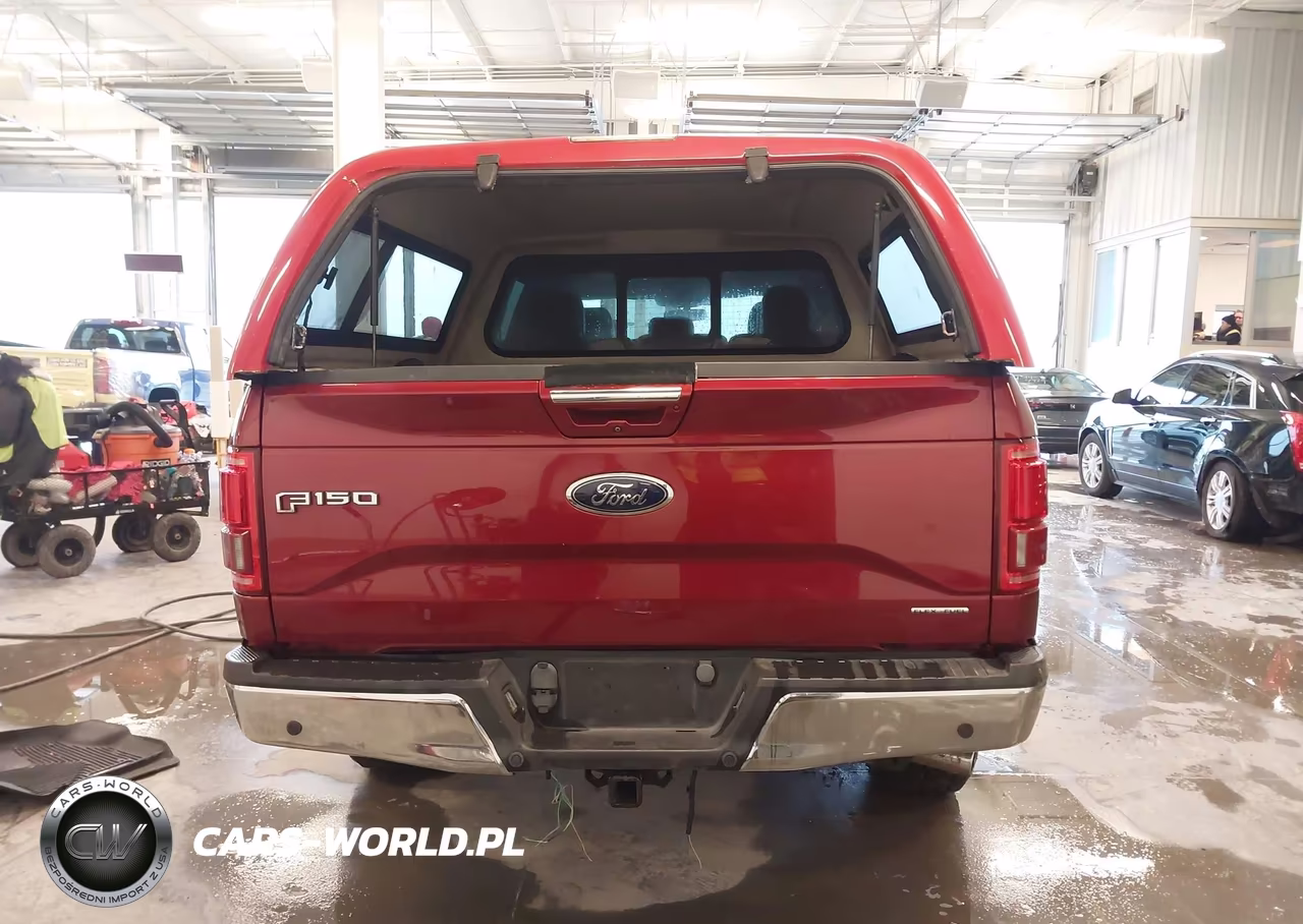 2016 Ford F-150 Lariat VIN:1FTEW1CF1GKE01842 - 17
