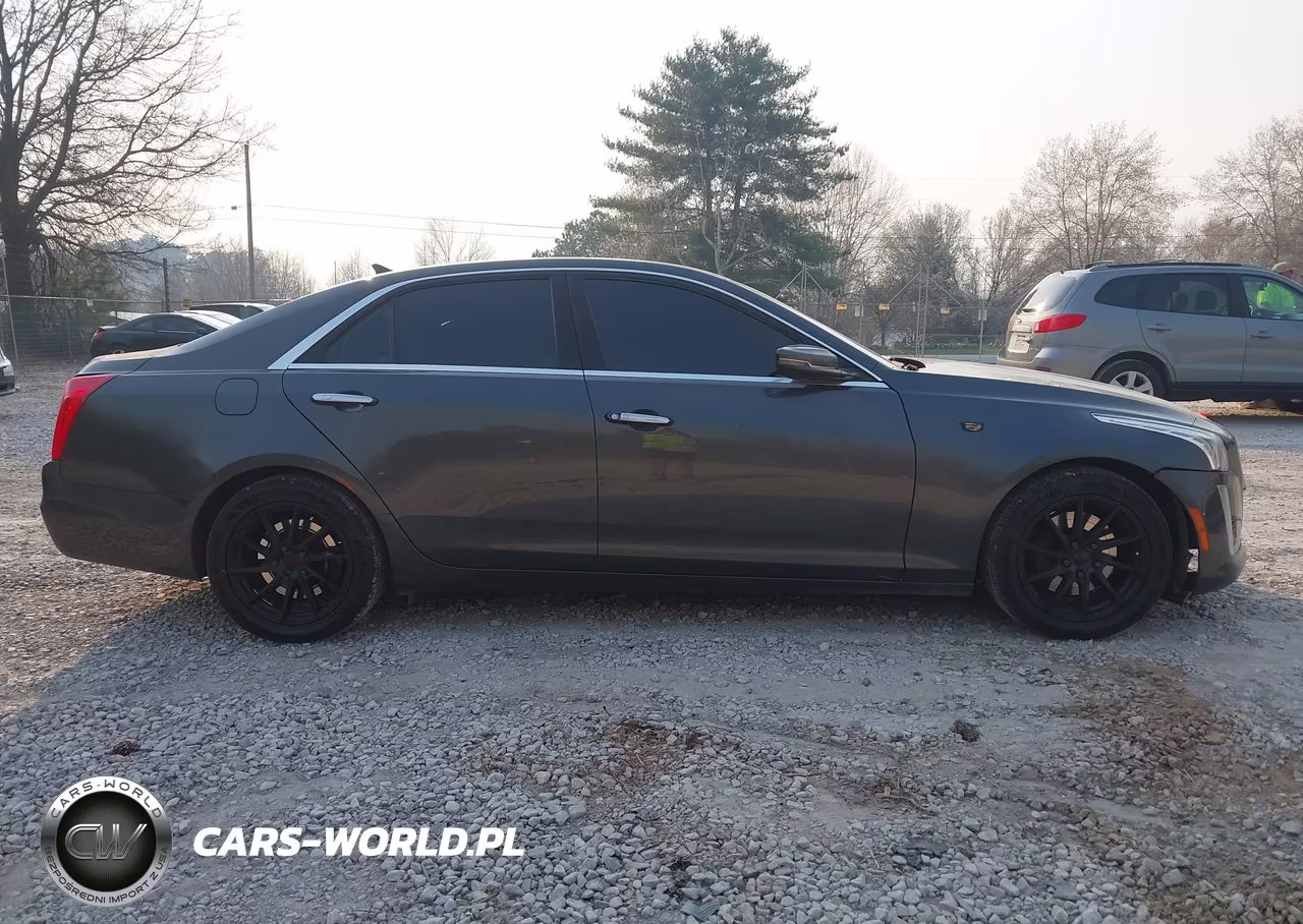 2014 Cadillac Cts Luxury VIN:1G6AX5S35E0190666 - 13