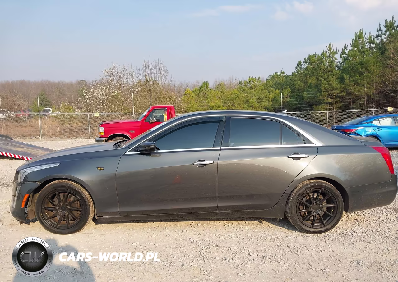 2014 Cadillac Cts Luxury VIN:1G6AX5S35E0190666 - 14