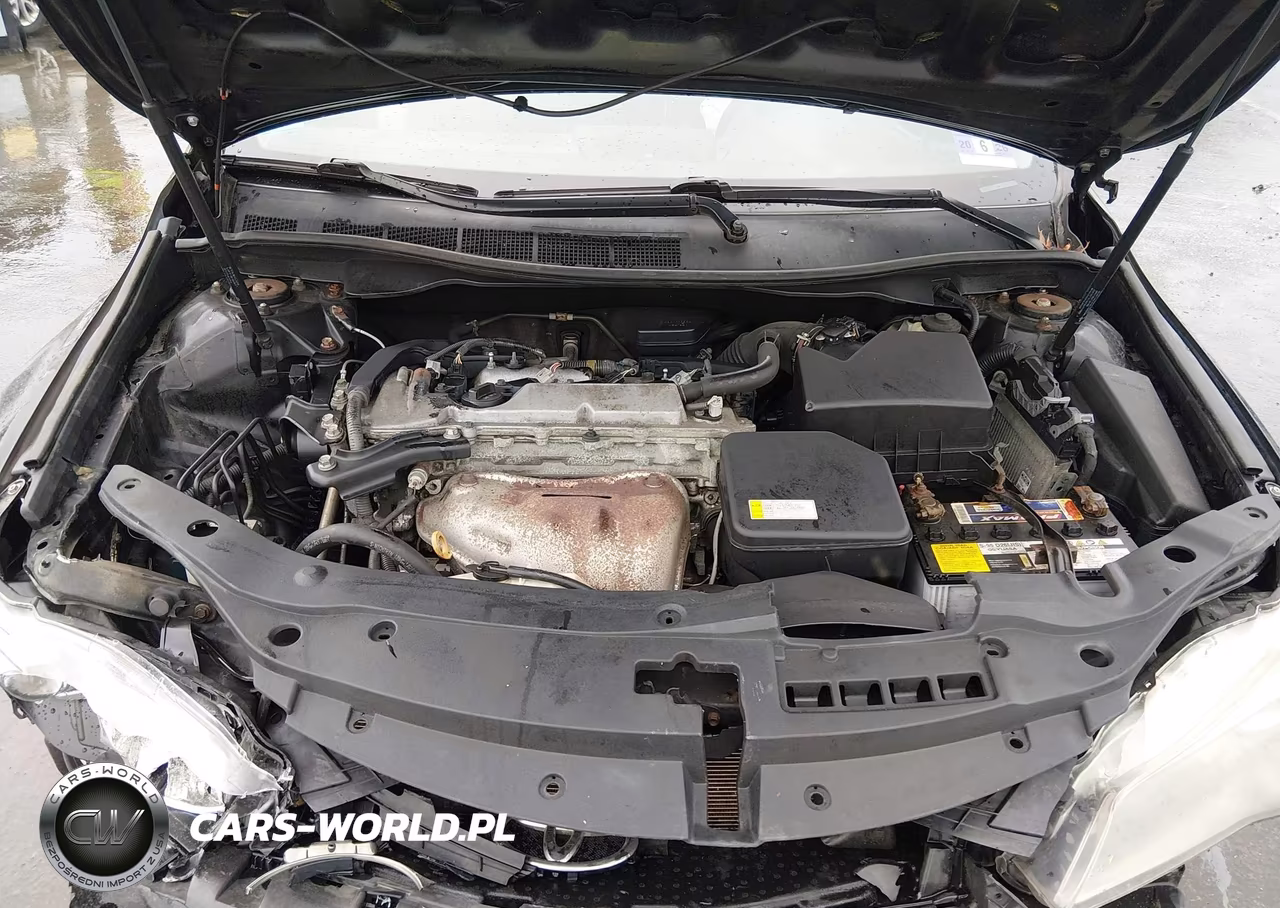 2016 Toyota Camry Se VIN:4T1BF1FK8GU206493 - 10