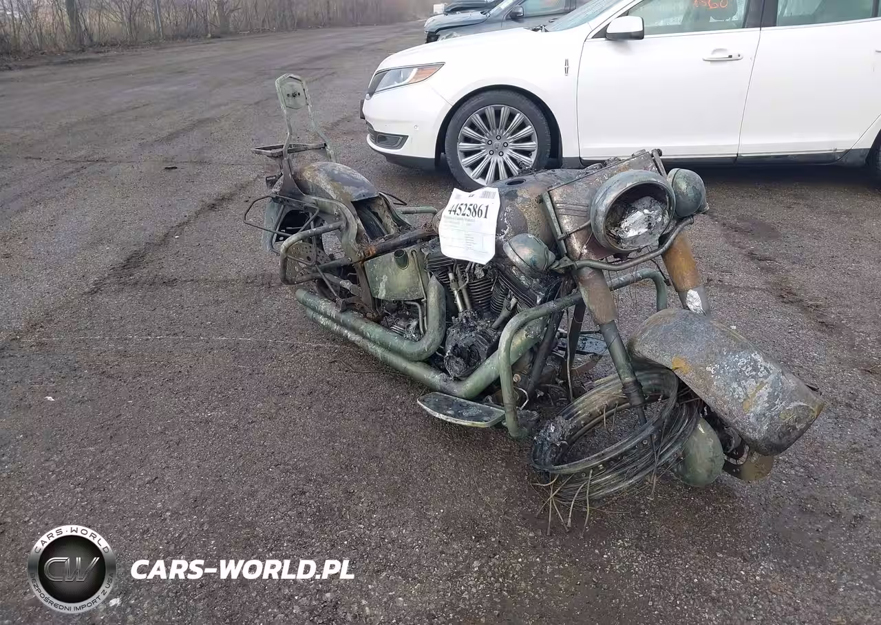 2004 Harley-Davidson Flstci