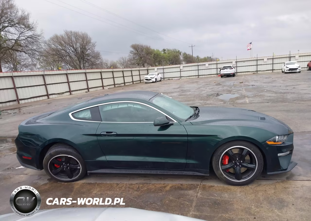2019 Ford Mustang Bullitt VIN:1FA6P8K06K5501116 - 13