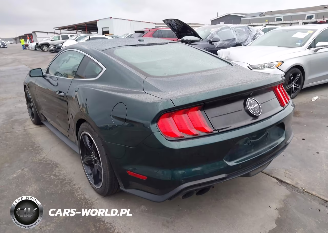 2019 Ford Mustang Bullitt VIN:1FA6P8K06K5501116 - 3