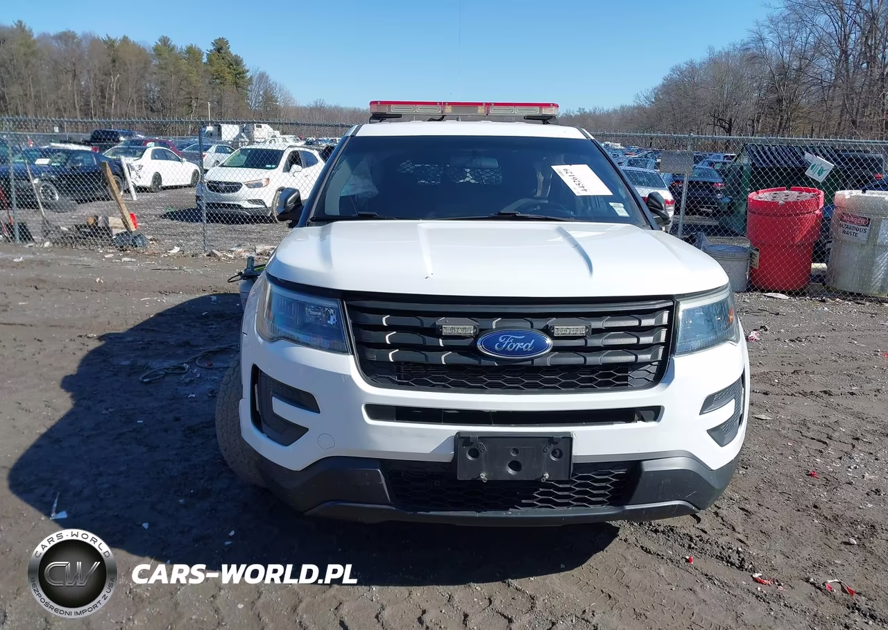 2018 Ford Police Interceptor Utility VIN:1FM5K8AR9JGA15810 - 12