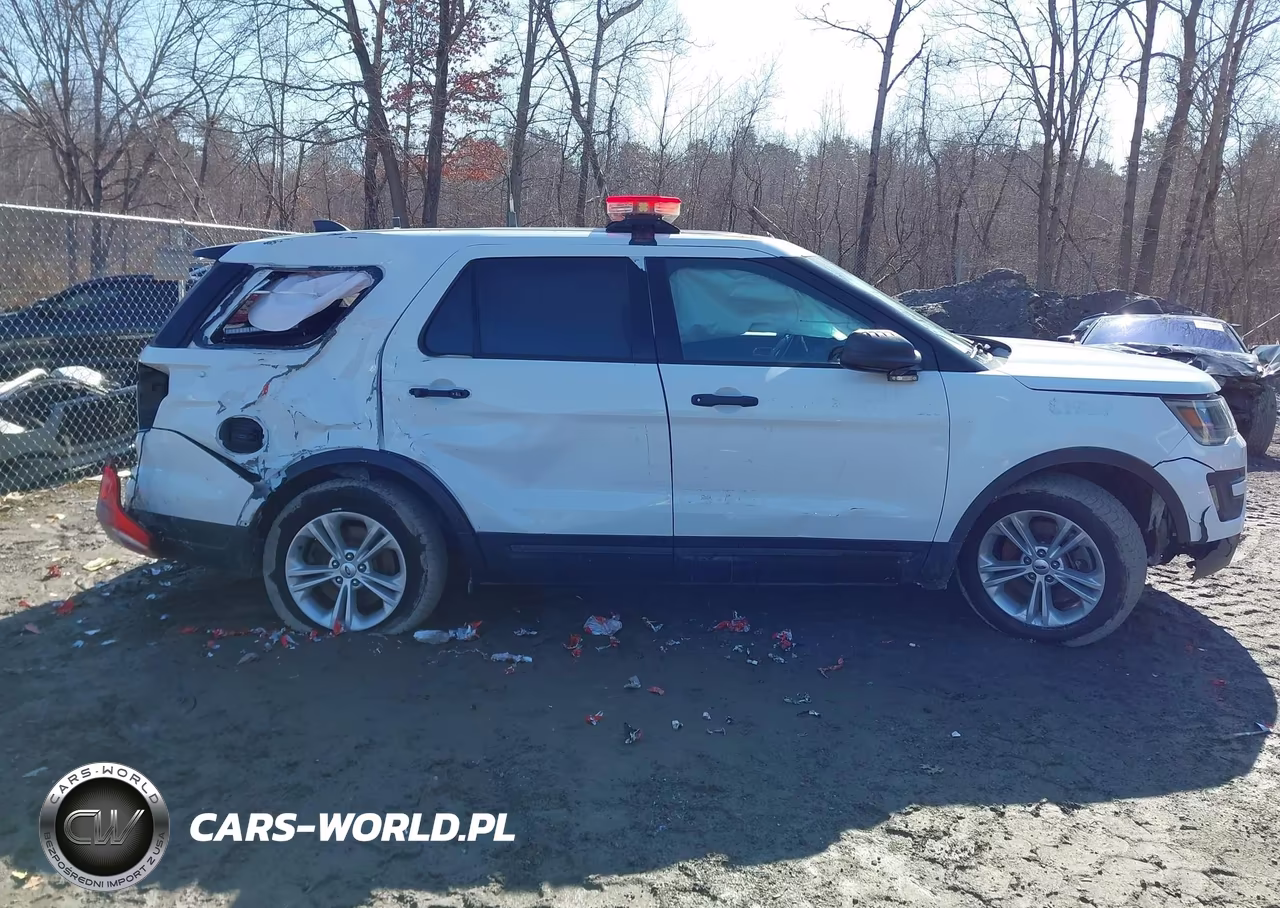 2018 Ford Police Interceptor Utility VIN:1FM5K8AR9JGA15810 - 13
