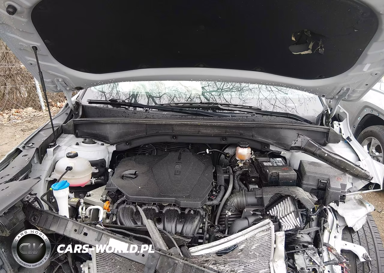 2024 Kia Sorento S VIN:5XYRLDJC7RG262670 - 10