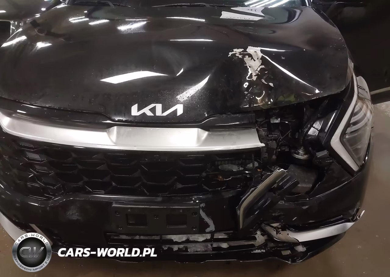2023 Kia Sportage Hybrid Sx-Prestige VIN:KNDPXCAG5P7056184 - 17