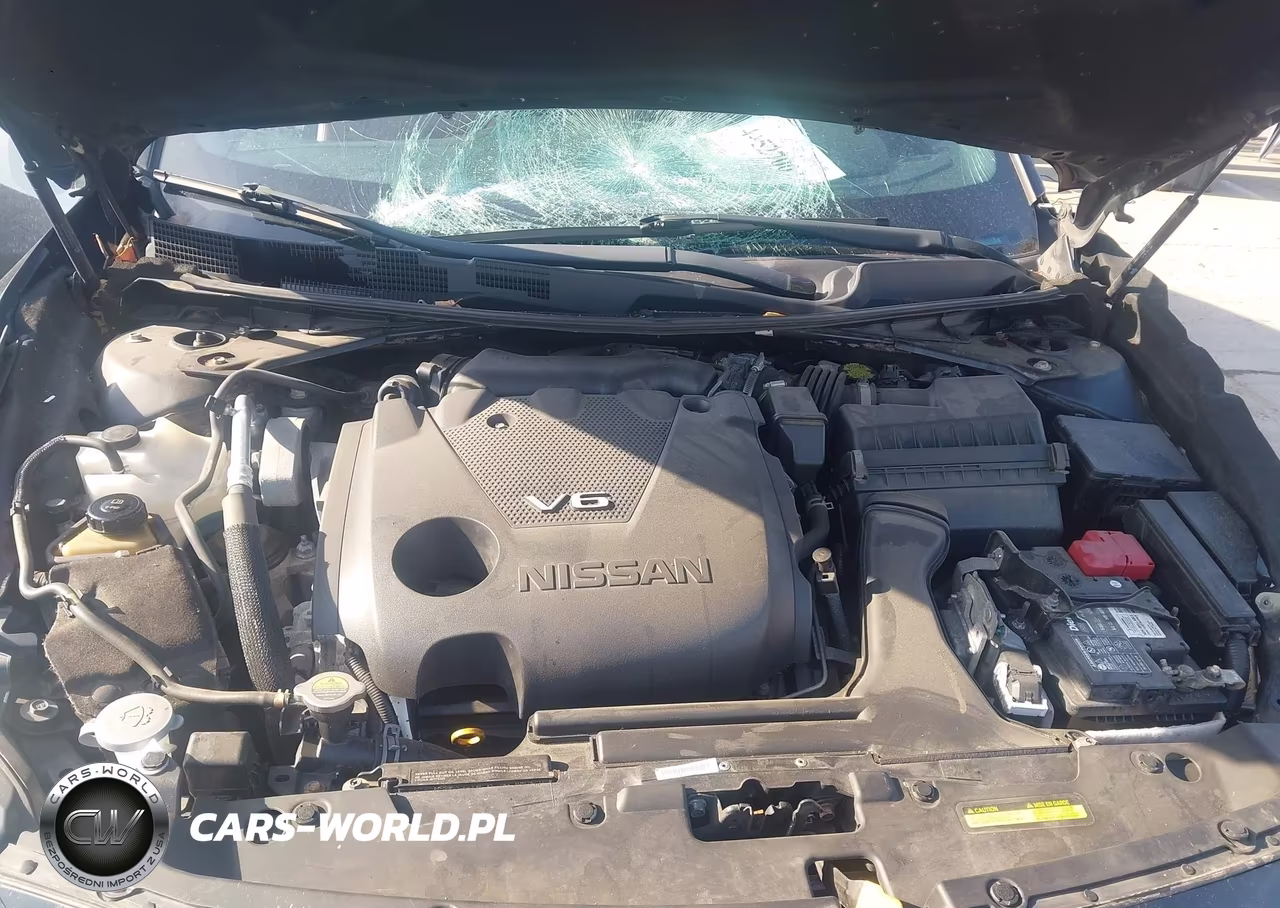 2019 Nissan Maxima 3.5 Platinum VIN:1N4AA6AV2KC363521 - 10