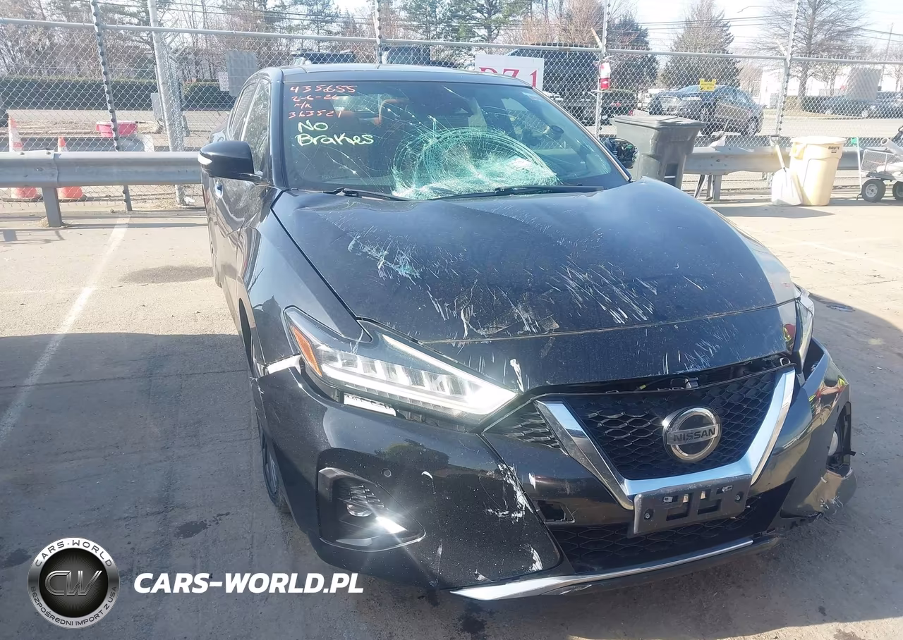 2019 Nissan Maxima 3.5 Platinum VIN:1N4AA6AV2KC363521 - 12