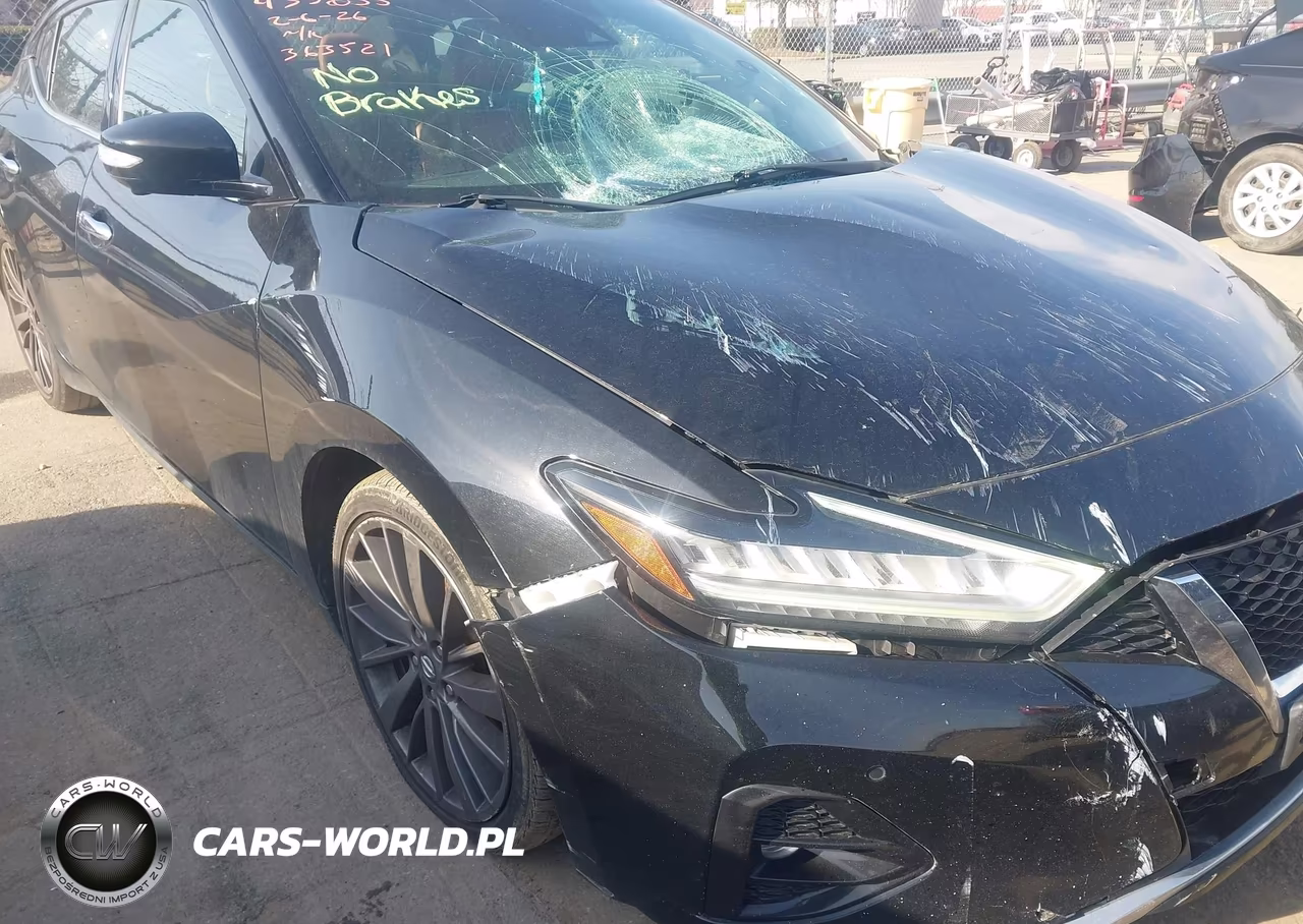 2019 Nissan Maxima 3.5 Platinum VIN:1N4AA6AV2KC363521 - 17