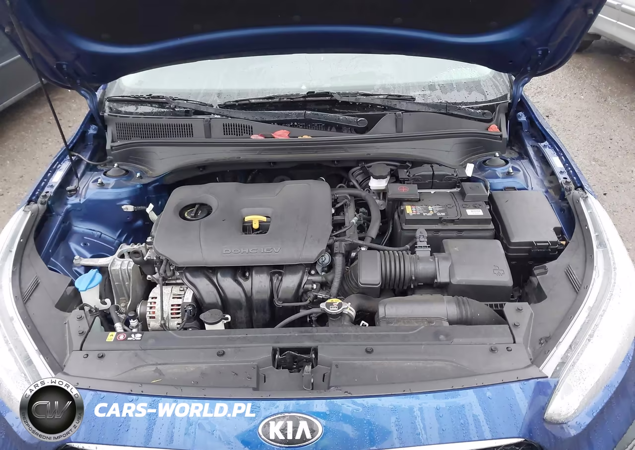 2019 Kia Forte S VIN:3KPF34AD4KE006680 - 10