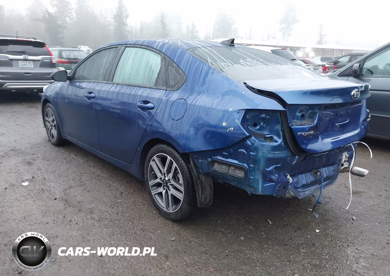 2019 Kia Forte S VIN:3KPF34AD4KE006680 - 3