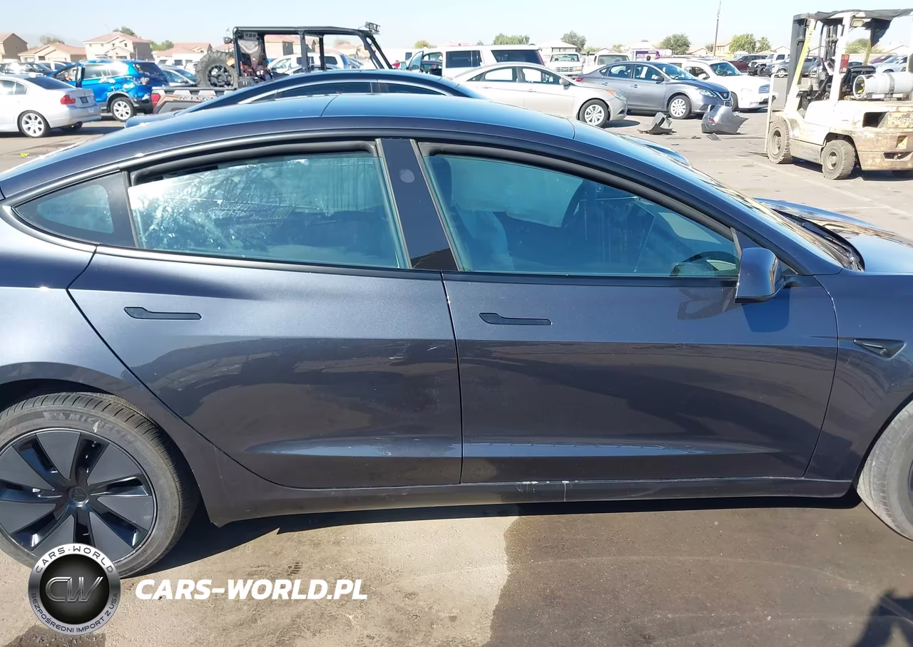 2025 Tesla Model 3 Long Range Rear-Wheel Drive-Standard Rear-Wheel Drive VIN:5YJ3E1EA6SF973104 - 13