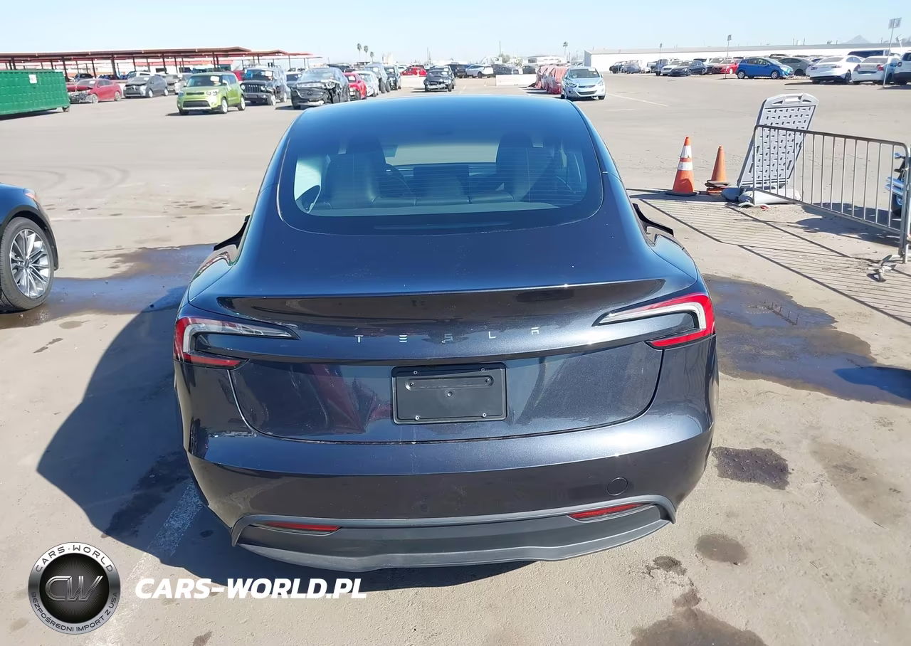 2025 Tesla Model 3 Long Range Rear-Wheel Drive-Standard Rear-Wheel Drive VIN:5YJ3E1EA6SF973104 - 16