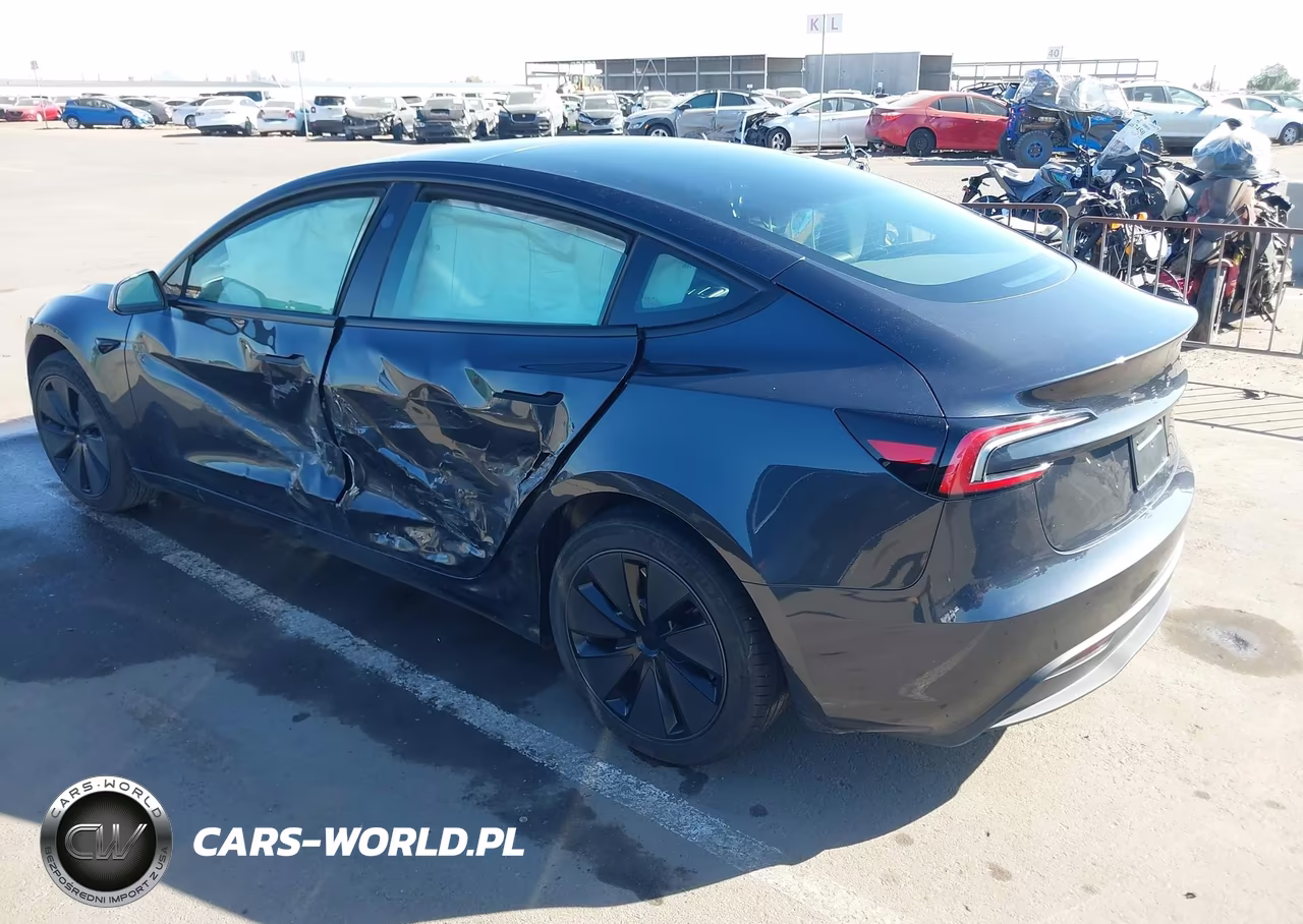 2025 Tesla Model 3 Long Range Rear-Wheel Drive-Standard Rear-Wheel Drive VIN:5YJ3E1EA6SF973104 - 3