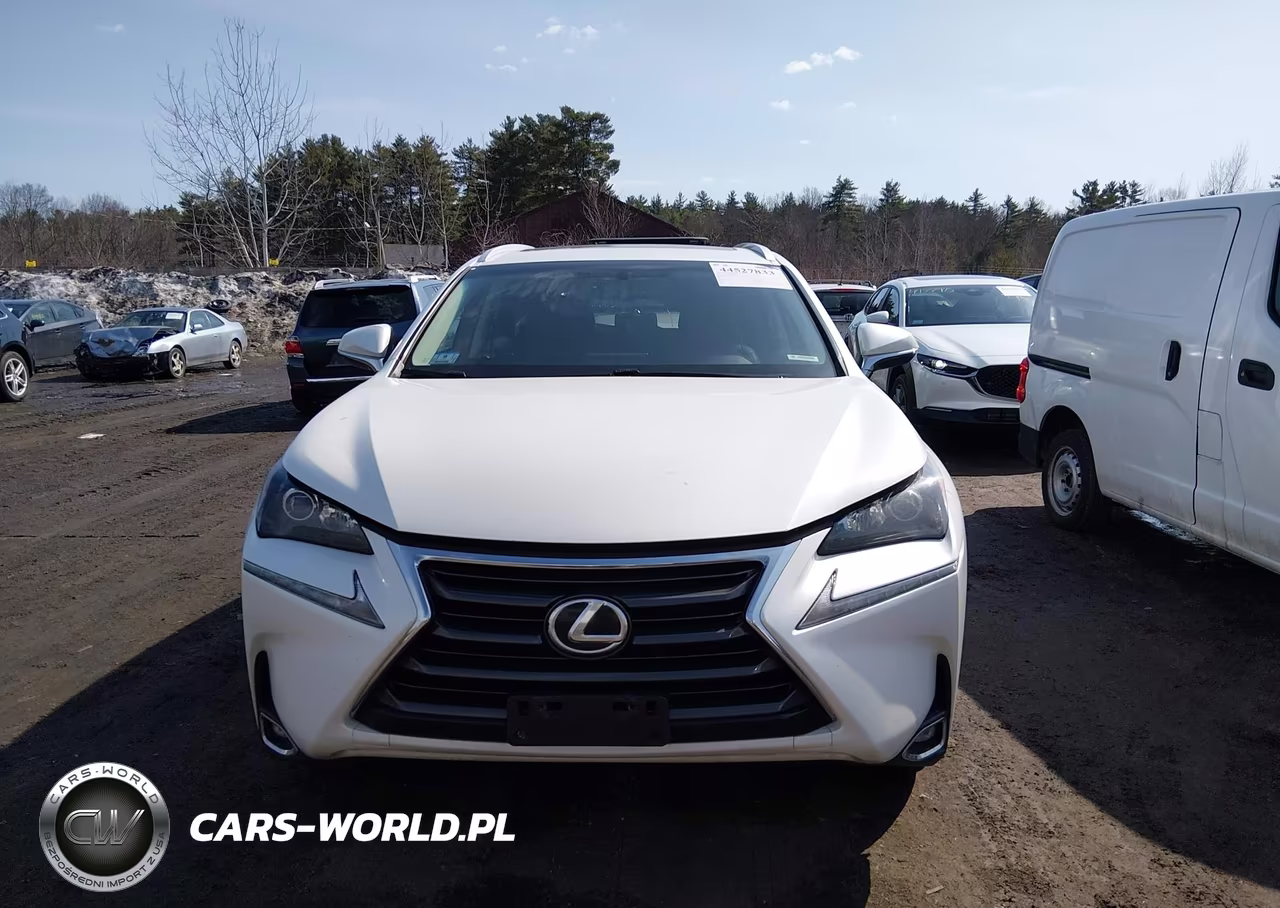 2017 Lexus Nx 200T VIN:JTJBARBZ1H2107660 - 12