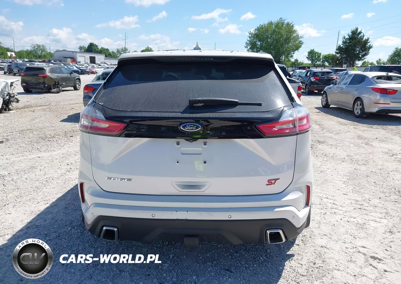 2019 Ford Edge St VIN:2FMPK4AP8KBB69353 - 17