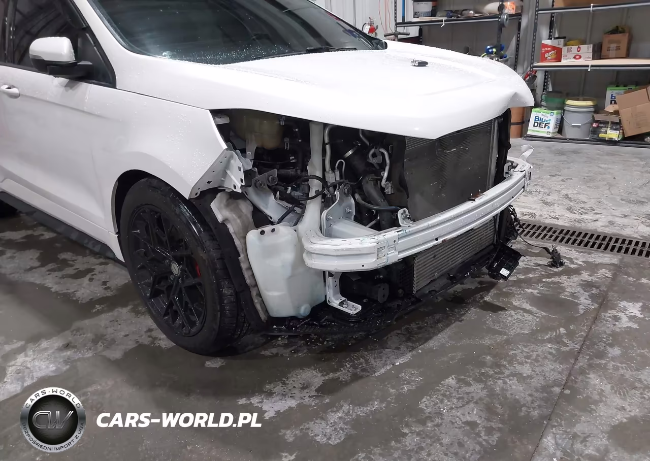 2019 Ford Edge St VIN:2FMPK4AP8KBB69353 - 19