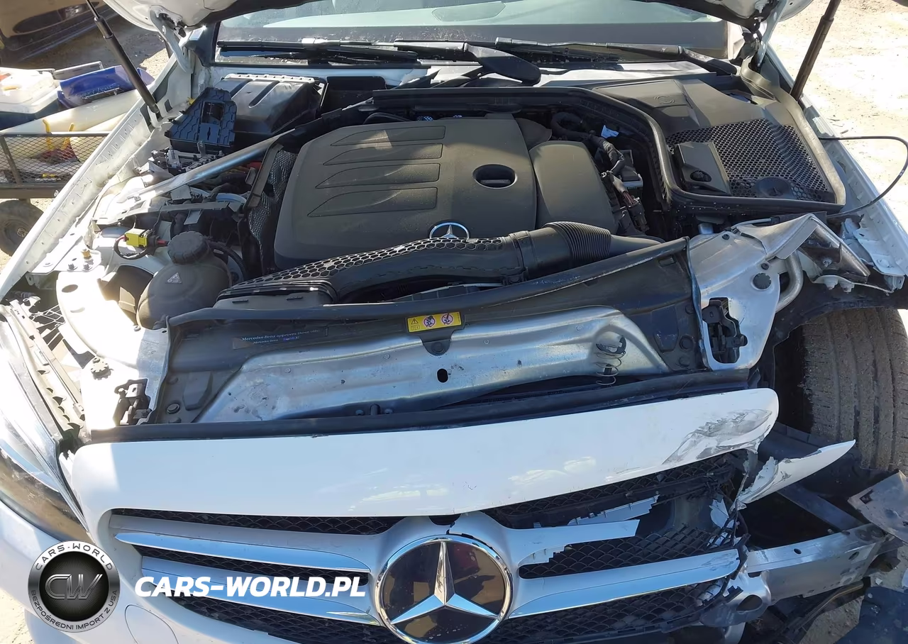 2019 Mercedes-Benz C 300 VIN:55SWF8DB1KU300118 - 10