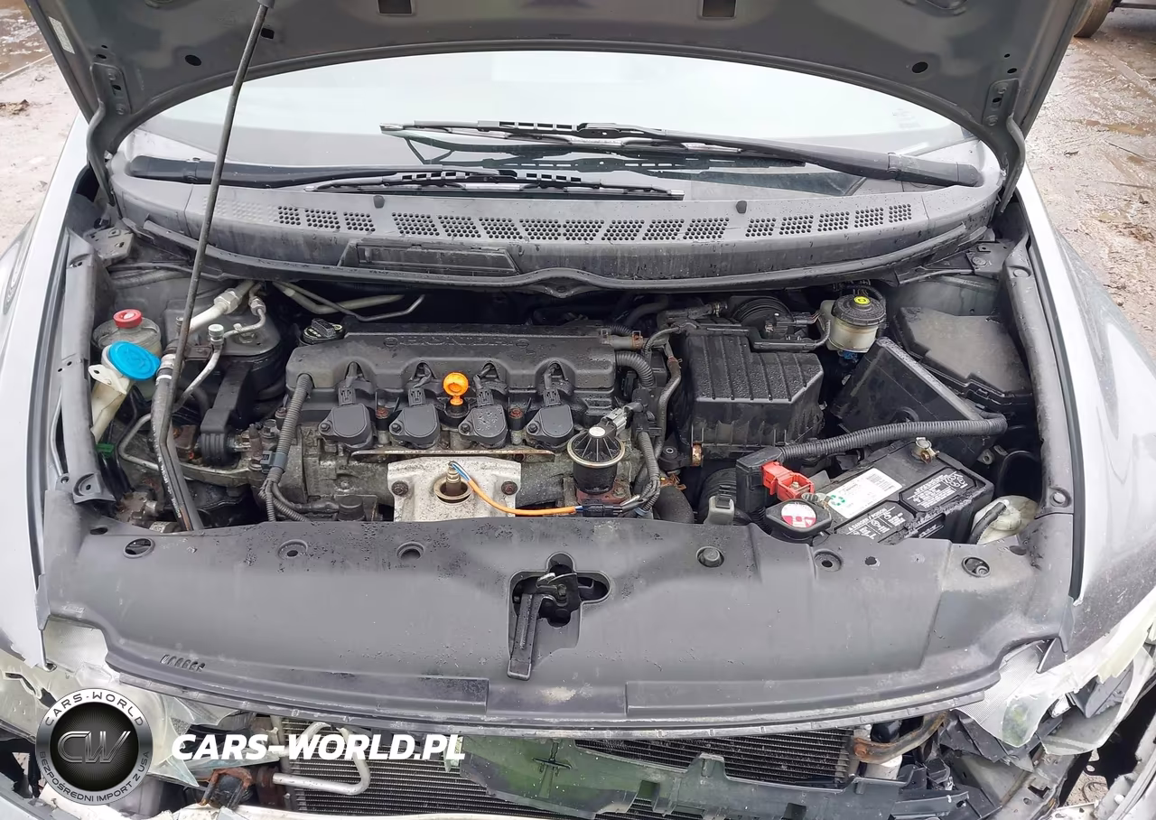 2009 Honda Civic Lx VIN:2HGFA165X9H304950 - 10
