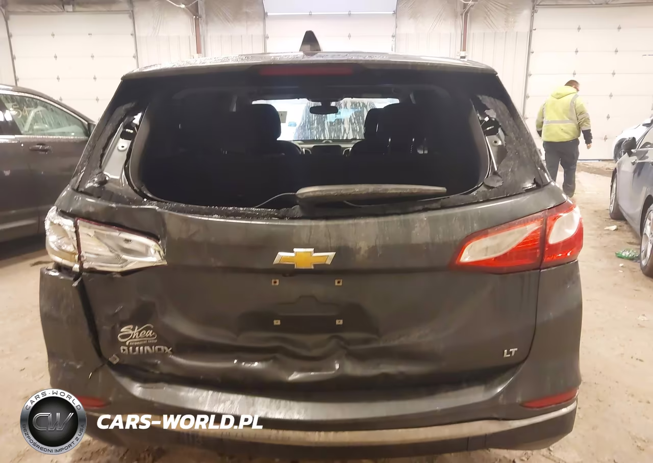 2019 Chevrolet Equinox Lt VIN:2GNAXKEV0K6109317 - 16