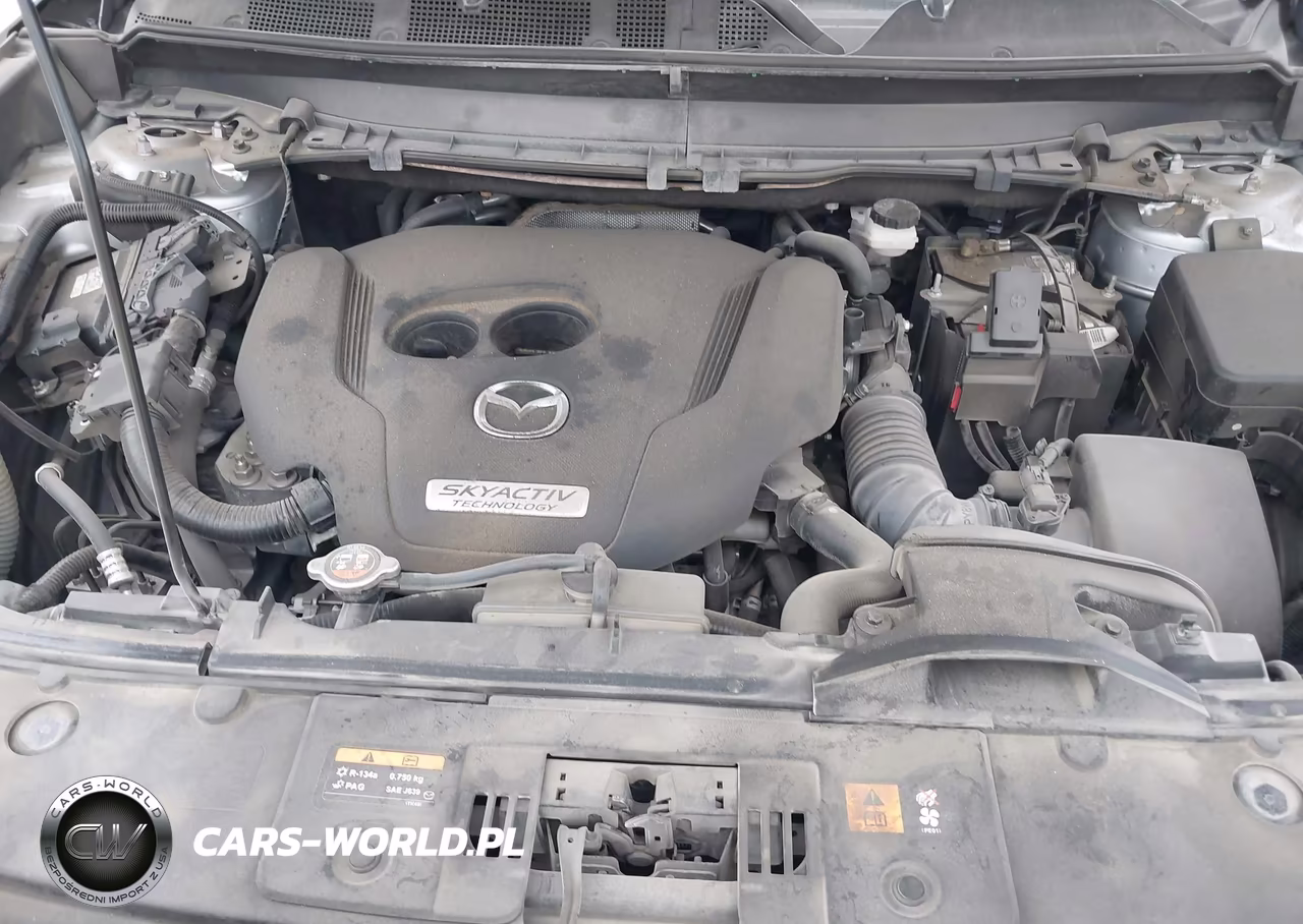 2016 Mazda Cx-9 Sport VIN:JM3TCABY7G0126290 - 10