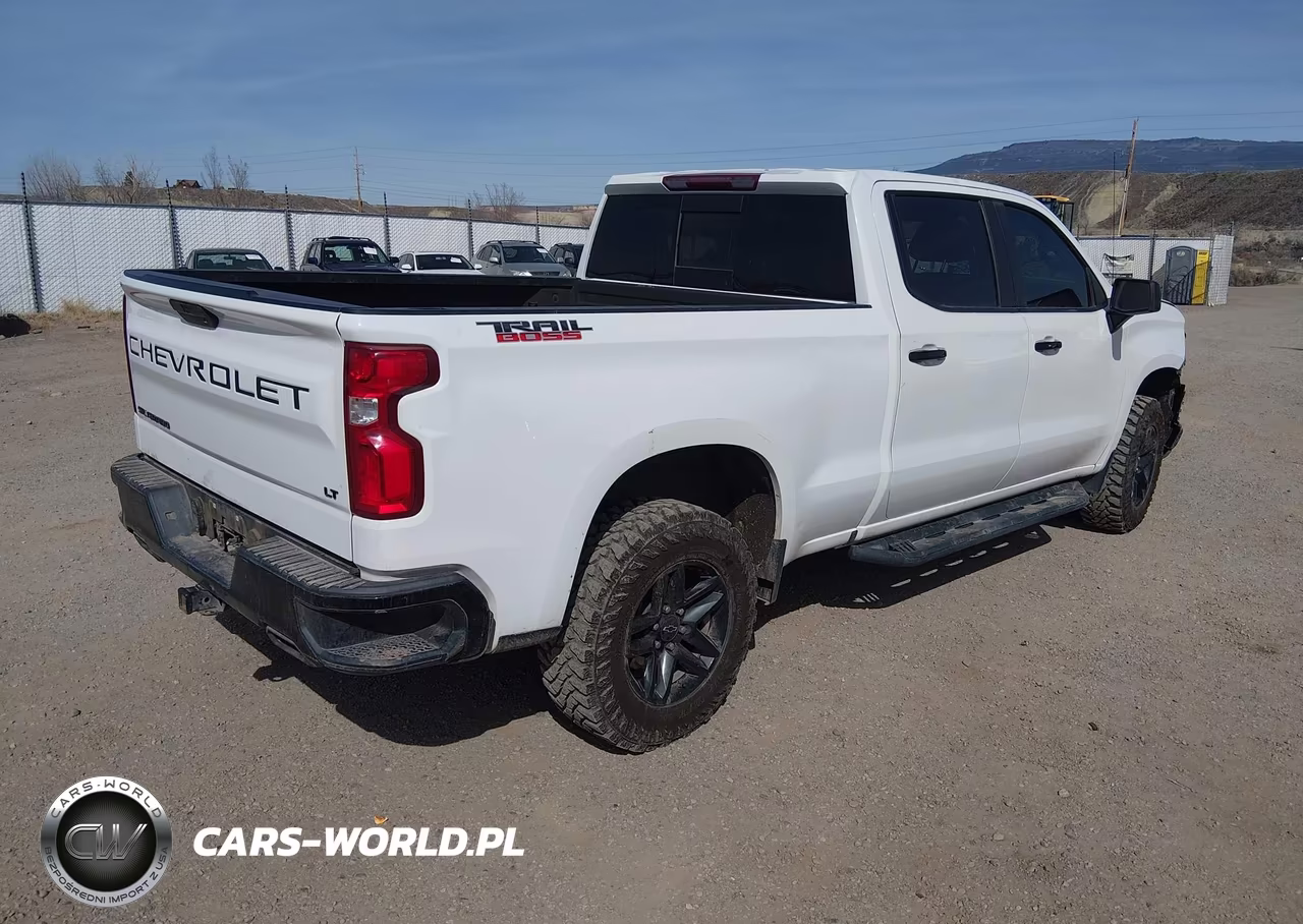 2020 Chevrolet Silverado 1500 4Wd Standard Bed Lt Trail Boss VIN:3GCPYFED9LG297596 - 4