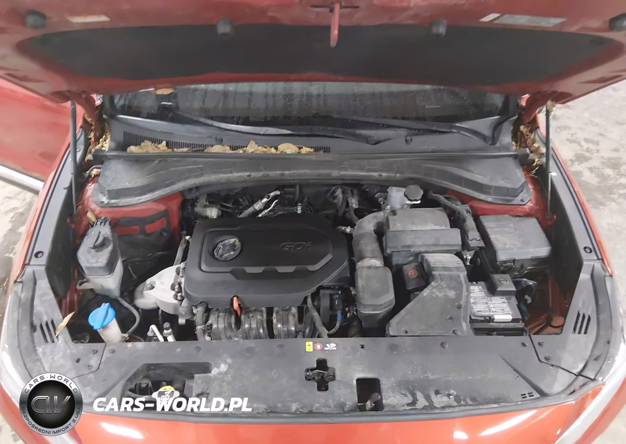 2020 Hyundai Santa Fe Sel VIN:5NMS3CAD7LH207394 - 10
