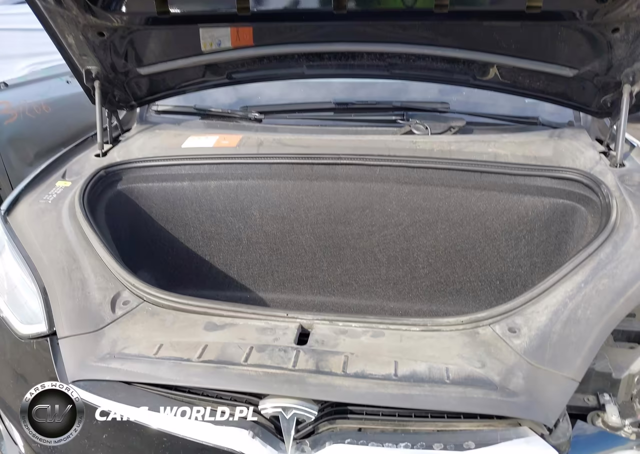 2018 Tesla Model X 100D-75D-P100D VIN:5YJXCAE24JF126967 - 10