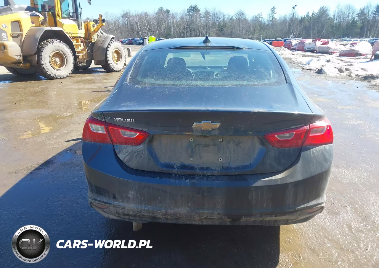2020 Chevrolet Malibu Fwd Ls VIN:1G1ZB5ST1LF014814 - 17