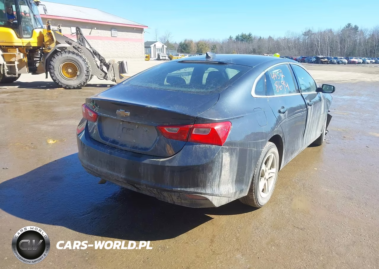 2020 Chevrolet Malibu Fwd Ls VIN:1G1ZB5ST1LF014814 - 4