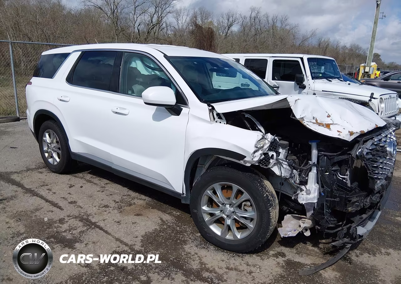 2020 Hyundai Palisade Se