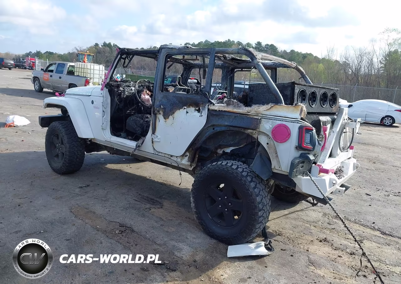 2016 Jeep Wrangler Unlimited Rubicon Hard Rock VIN:1C4BJWFG2GL252693 - 3