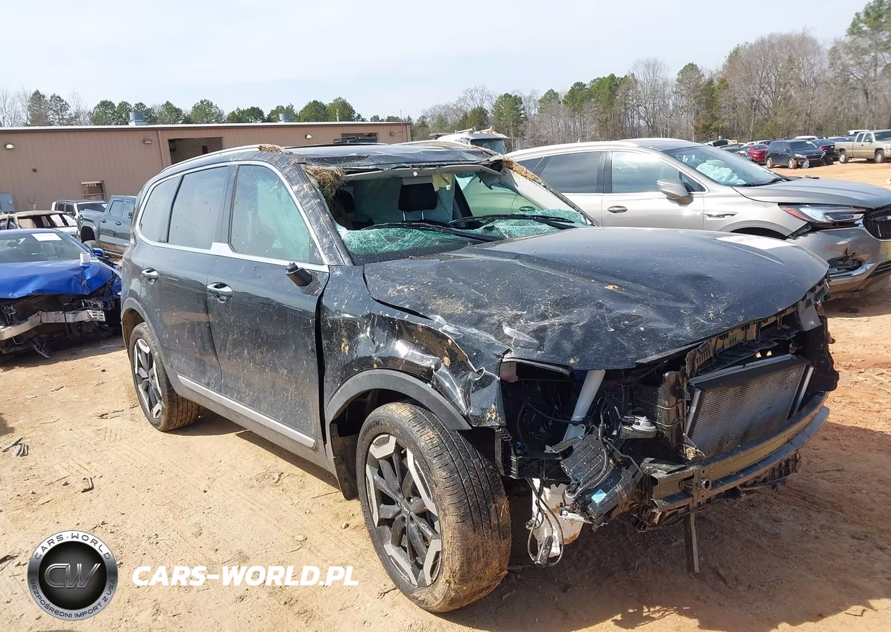 2025 Kia Telluride S VIN:5XYP64GC9SG598705 - 13