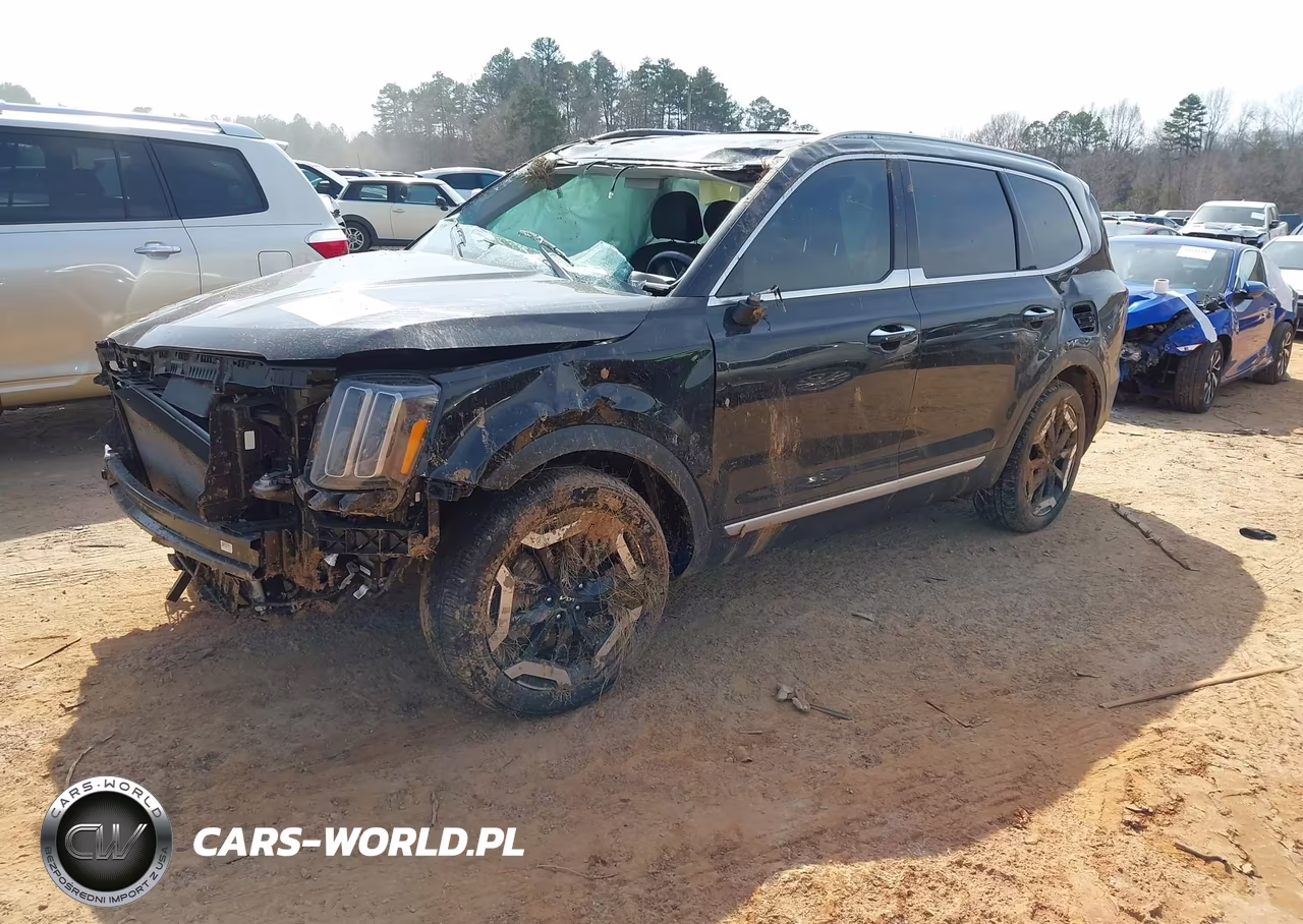 2025 Kia Telluride S VIN:5XYP64GC9SG598705 - 2