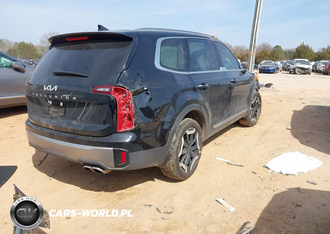 2025 Kia Telluride S VIN:5XYP64GC9SG598705 - 4