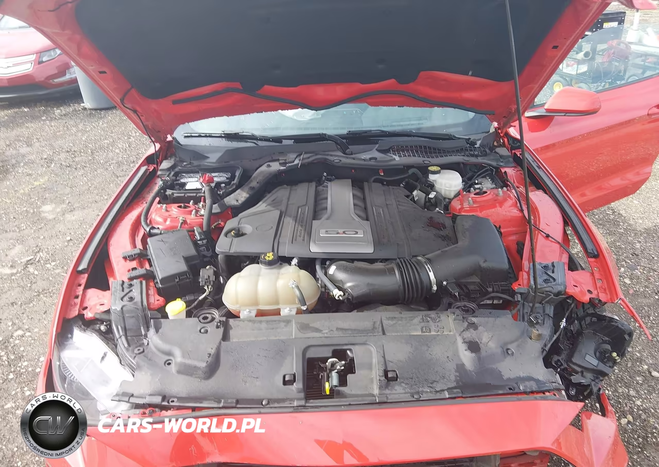2019 Ford Mustang Gt VIN:1FA6P8CF9K5157803 - 10